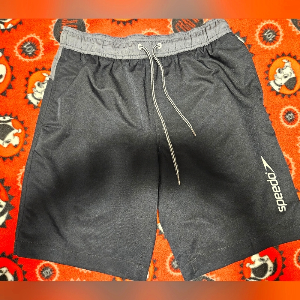 Men's Speedo Swim Shorts Black/Gray